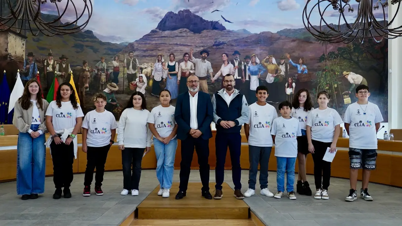 pleno-santa-lucia-tirajana-ciudad-amiga-infancia-cai-canarias