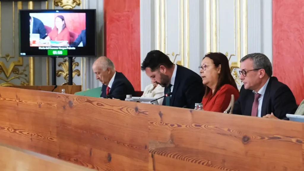 pleno-ayuntamiento-las-palmas-gran-canaria-ciudad-amiga