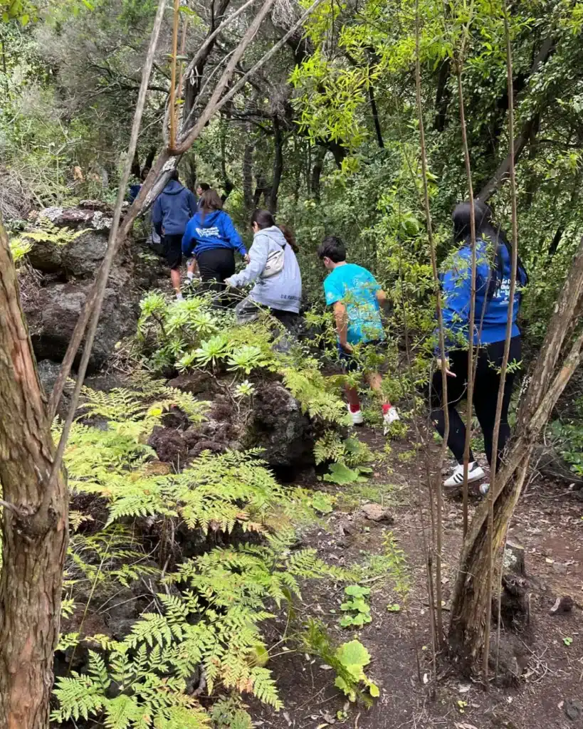 intercambio-ciudad-amiga-infancia-brena-baja-orotava