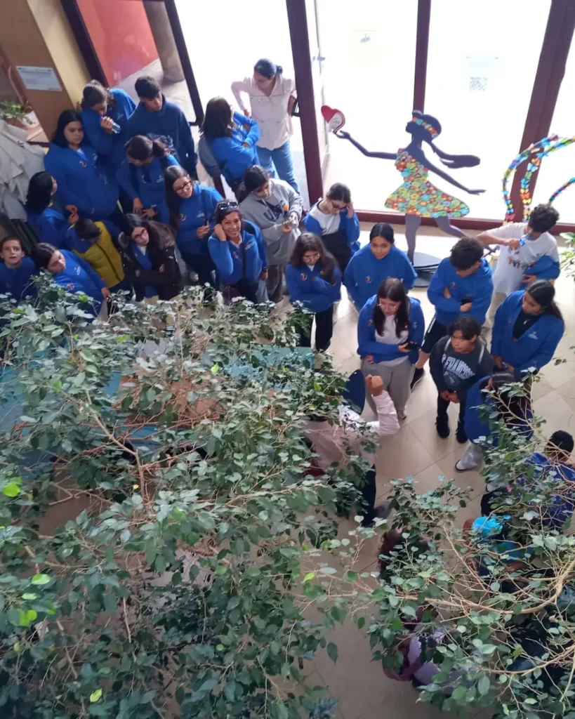 intercambio-ciudad-amiga-infancia-brena-baja-orotava