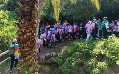 El II Encuentro de Miniconsejos de Participación Infantil reúne a representantes de los 6 distritos de Los Realejos